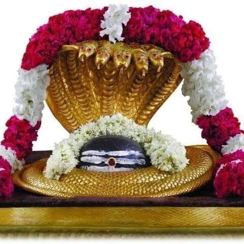 Mallikarjuna Jyotirlinga darshan